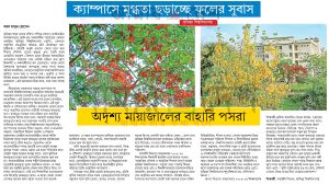 গ্রীষ্মে প্রকৃতির রংতুলির আঁচড়ে অপরূপা কুমিল্লা বিশ্ববিদ্যালয় 