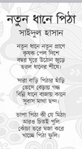 নতুন ধানে পিঠা