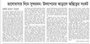 ভালোবাসার দিনে সুন্দরবন: উদযাপনের আড়ালে অস্তিত্বের সংকট