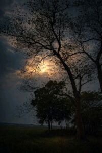 কালরাতের শেষে স্বাধীনতার আলো