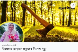 উন্নয়নের আড়ালে সবুজের নিঃশব্দ মৃত্যু