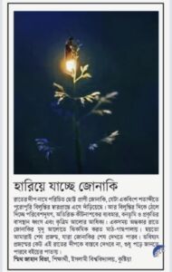 হারিয়ে যাচ্ছে রাতের দীপ জোনাকি