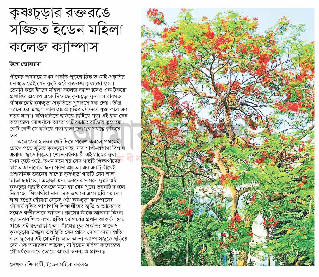 কৃষ্ণচূড়ার রক্তরঙে সজ্জিত ইডেন মহিলা কলেজ ক্যাম্পাস