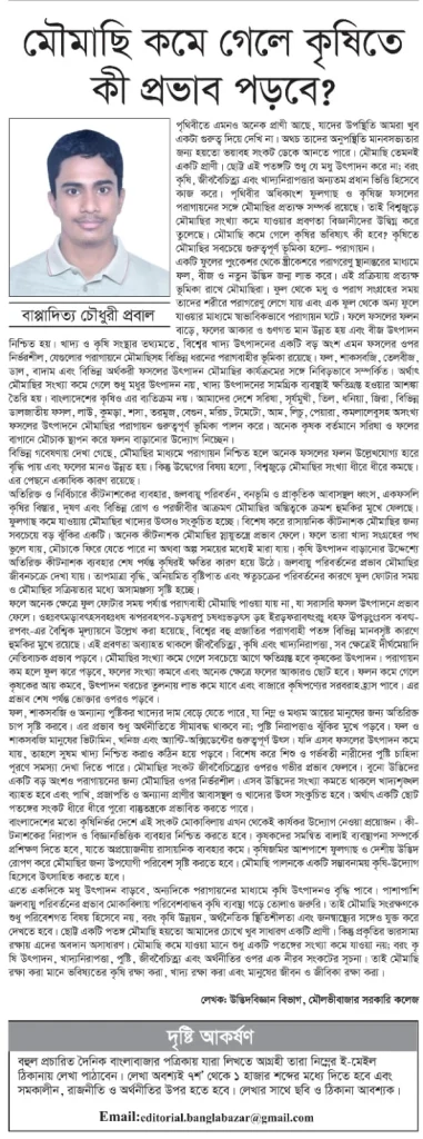 মৌমাছি কমে গেলে কৃষিতে কী প্রভাব পড়বে?